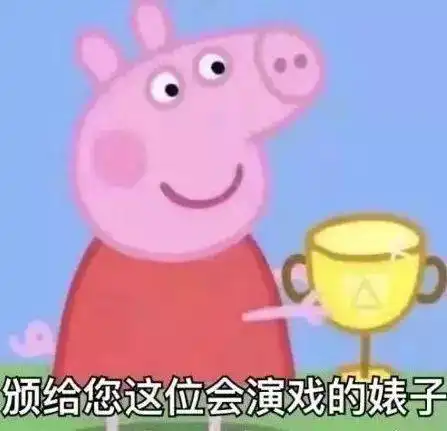 最后,是表情包说尽了我一年的酸甜苦辣