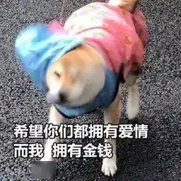 全体武鸣人熬过了这个月,好日子就要来了