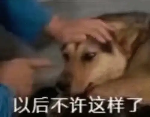 轻松一刻茅台有多奢侈,打碎了都要捞起来喝
