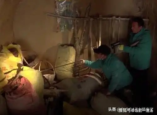 山西出现抓鸡虎,接连咬死60多只鸡,被捉后表情很无辜