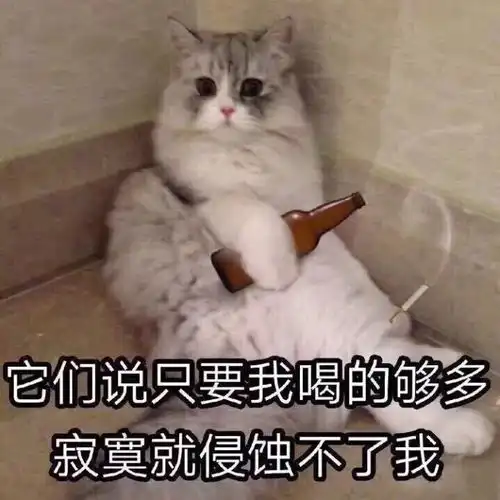 你的小可爱突然出现