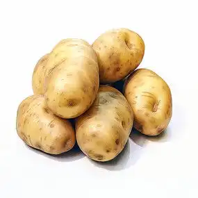土豆素材图片下载红动中国