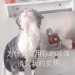 e句话看天下丨热巴表妹准备出道,你觉得能红吗