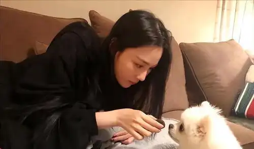 嫁军人何捷4年,如今面色憔悴自称单身汪,张馨予到底怎么了