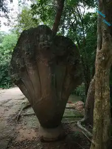 小炒泡馍在当地简称为小炒,和牛羊肉泡馍一样是回民的清真特色食品