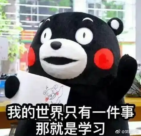 应试类学习