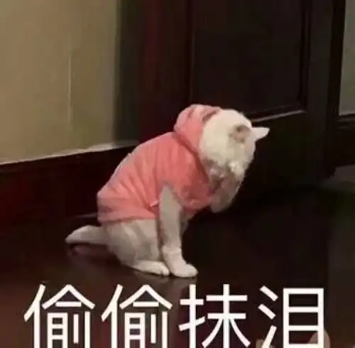 大四,即将毕业,准备考研,十分焦虑