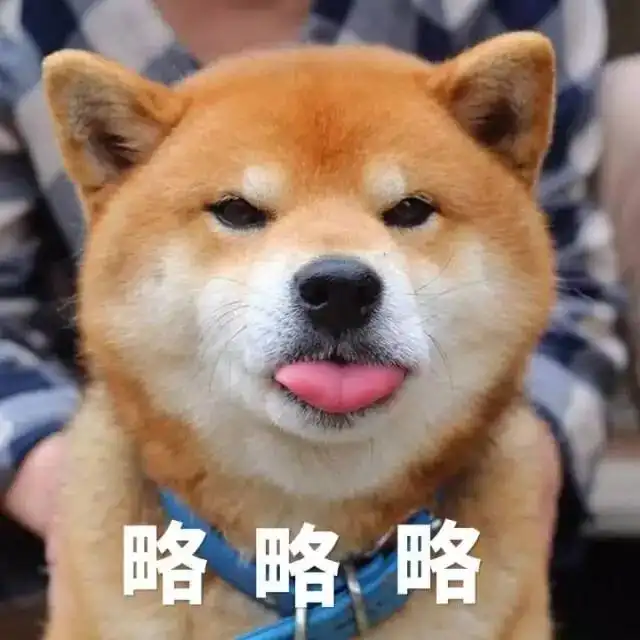 据说,七夕这天不进来玩球的人,会一辈子单身最全单身狗表情包泪奔