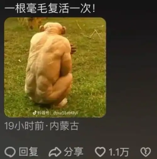 你们家男朋友也是这样玩黑神话悟空的吗一句话把男朋友整破防了