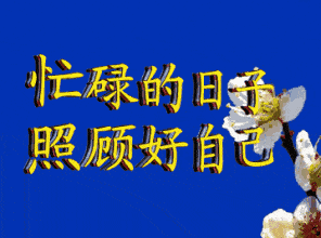 观海杂话铺从不懂文学到天上飞,各个年龄层上网都在冲哪片浪