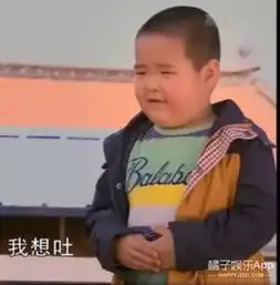 表情包爆红网络,乡村爱情捧红了一个小胖墩