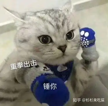 有什么可以回复抱我表情包的表情包