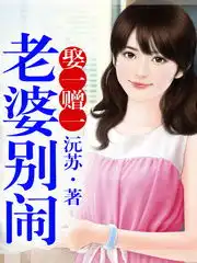 小说阅读推荐新浪小说
