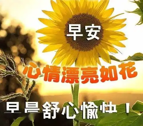 早上好朋友,最好看的早上好祝福表情图片,早安问候语短信句子