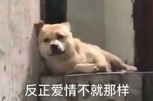 表情包来自单身狗的呐喊