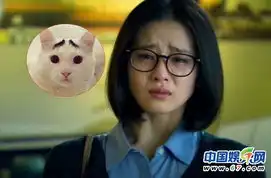 荧屏女神豪放哭相刘诗诗挤八字眉大s似馒头