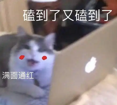 如果可以魂穿小锦,你最想成为谁