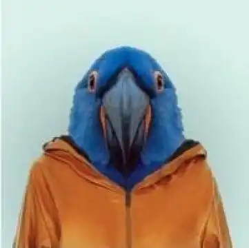 恶搞混搭风