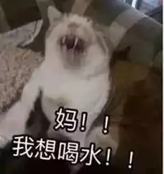 37高温雨雨雨,如皋本周天气有点搞事情内裤都不够用了