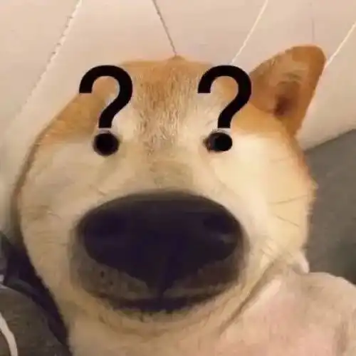 封控期间足不出户,狗狗的方便问题怎么解决