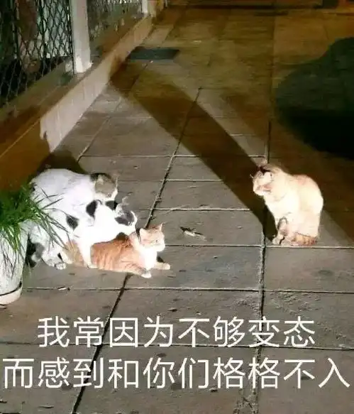 1收藏夹