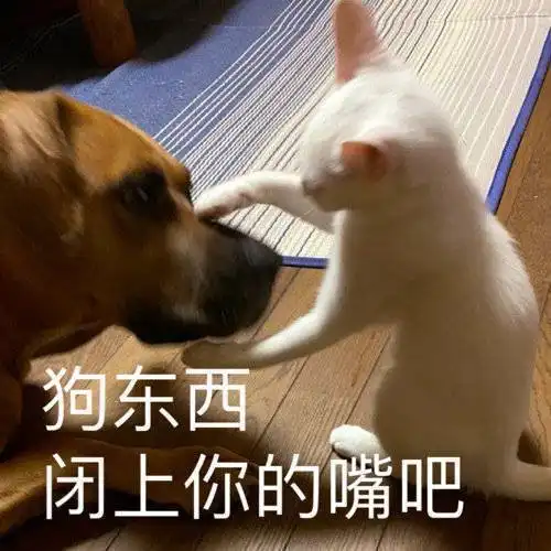 今日限定那些年爆笑如雷的笑话段子,哈哈哈哈哈哈我先笑为敬