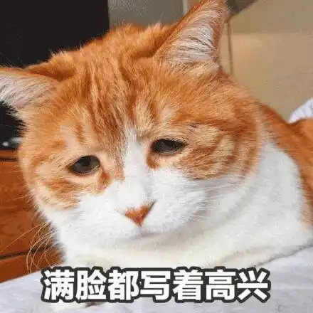 不舍得国庆祝大家国庆快乐蔡国庆蔡国庆表情
