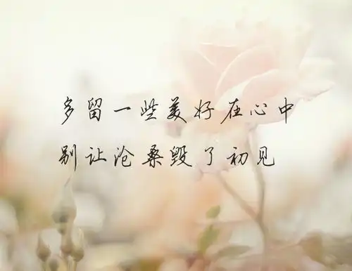 一念执着,寸寸相思寸寸灰