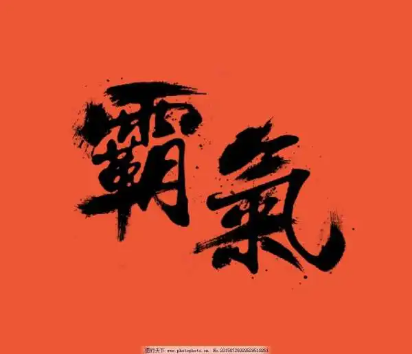 有含义,霸气不能含霸字,的两字词语