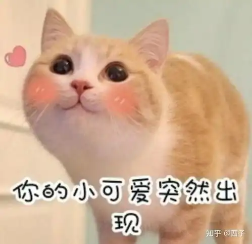 混油皮到底适合用乳液和面霜吗