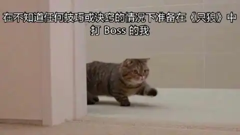 菜鸡up在线只狼