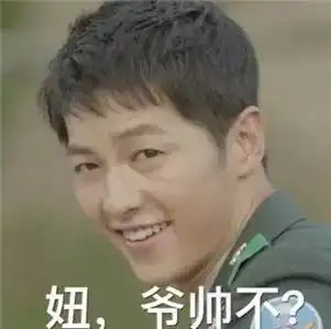 脑洞自恋狂中二师生恋...古代年轻人很会装