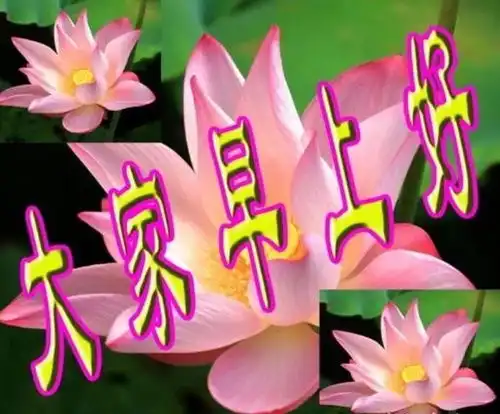 早安表情包清晨祝福早上好问候语温馨语录