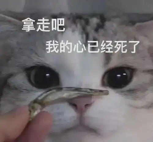 因为手滑而引发的爱情救命啊这是人能看的吗真的是太杀了吧