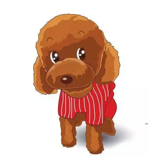 2018设计与狗