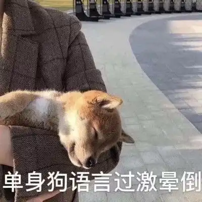 单身狗专属表情包别太过分了,臭情侣们