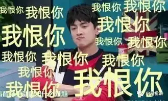 吃瓜网络一线牵,珍惜这段缘林更新承包了这期极限挑战的所有笑点