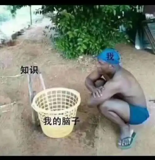 表情包在挂科的边缘试探