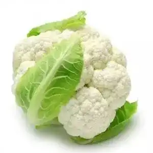 春节哪些食物好吃又健康