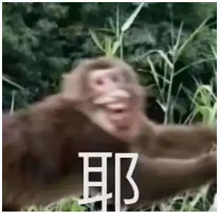 寒假不学习开学两行泪作业爱我你怕了吗