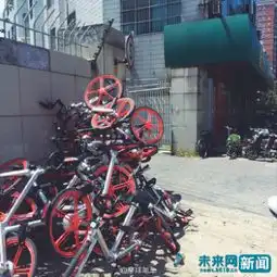 多地网约自行车遭不文明待遇首需让行为风险大于成本