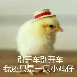 77张鸡表情包祝你鸡年大吉吧