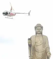 世界第一大佛在河南鲁山佛泉寺开光