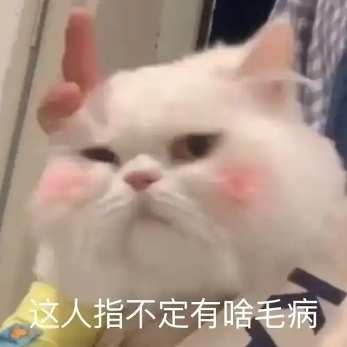 沙雕表情包l你冒犯我