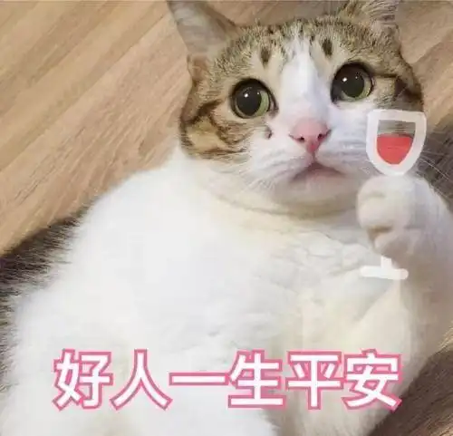 原来这些食物,也是猫咪的最爱,好吃还不贵