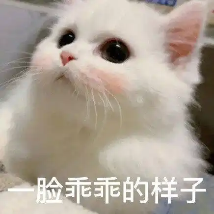 和对象聊天必备表情包,快来接收叭