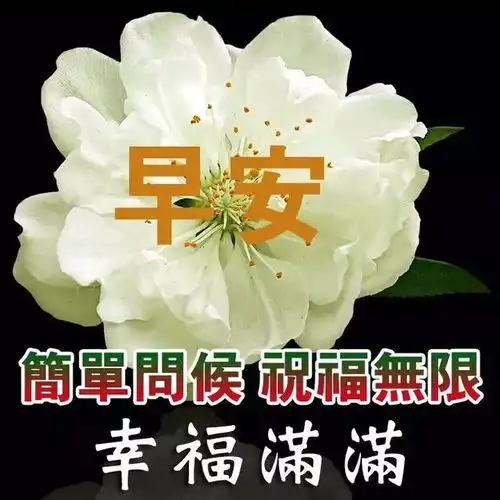以一颗纯净的心,去守候自己生命的花期,早安