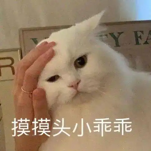 第69期喵表情你要实在闲,就给我来当两天qq宠物