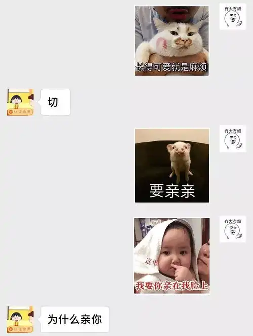 撩人专用亲亲表情