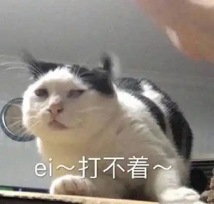这个表情是啥意思